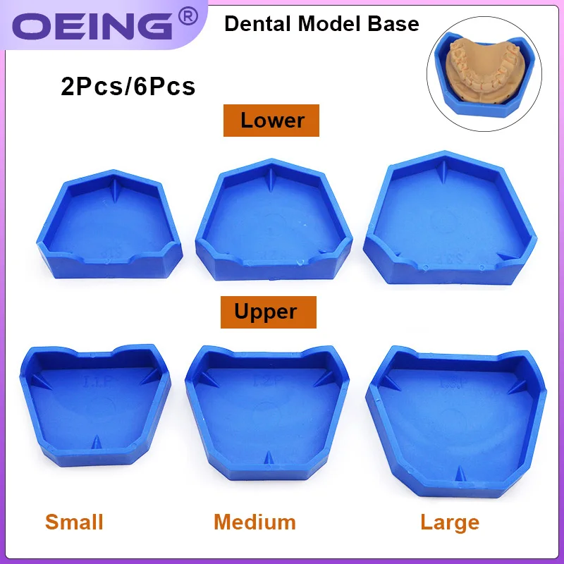 Model Kit Tool - 2/6 pz Modello Dentale Base Gesso