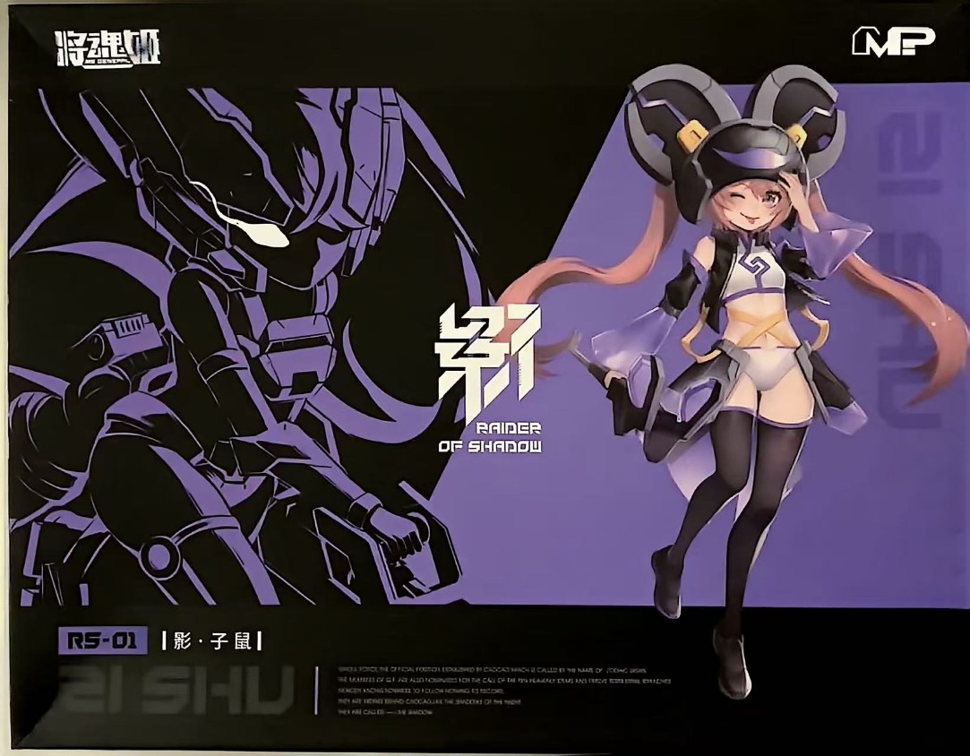 MS GENERAL Raider of Shadow RS - Model Kit Ms General recensione e prezzo