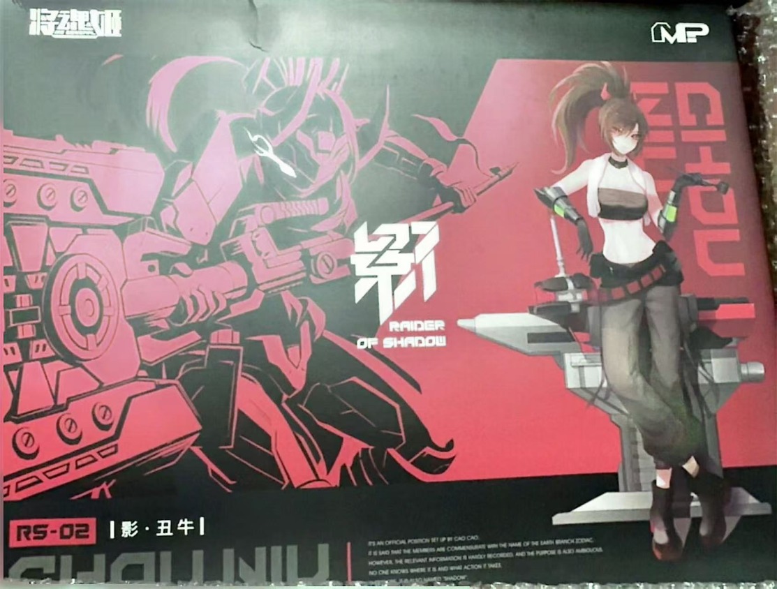 MS GENERAL Raider of Shadow RS - Model Kit Ms General recensione e prezzo