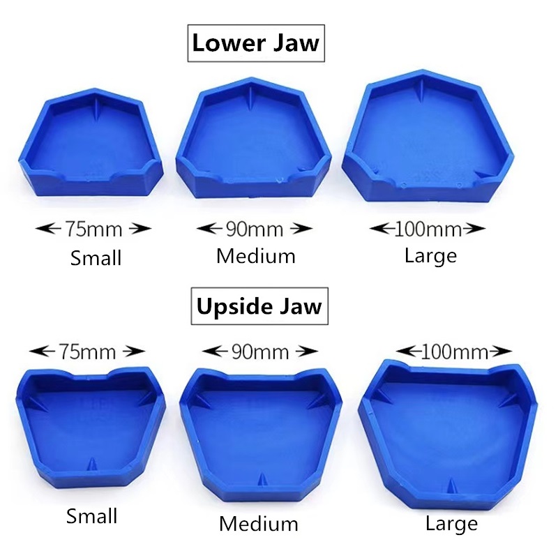 6 pz/set Modello Dentale Base  - Model Kit Tool recensione e prezzo